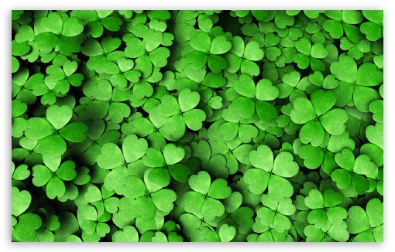 four leaft clovers